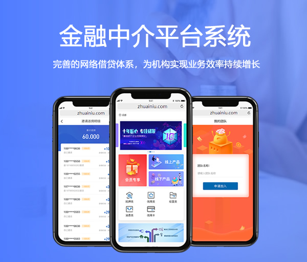 金融中介平台系统_金融中介业务系统_金融中介软件开发