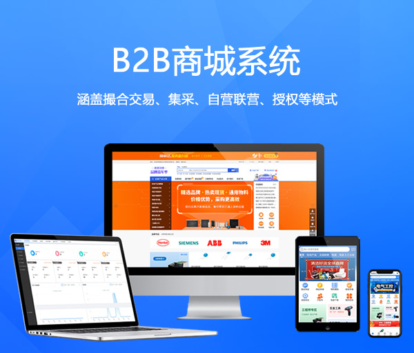 B2B商城系统_B2B系统开发_B2B电商软件开发