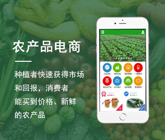 农产品电商系统_农产品电商APP开发_移动农产品电商软件