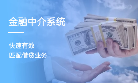 小贷业务管理系统，金融中介系统服务商